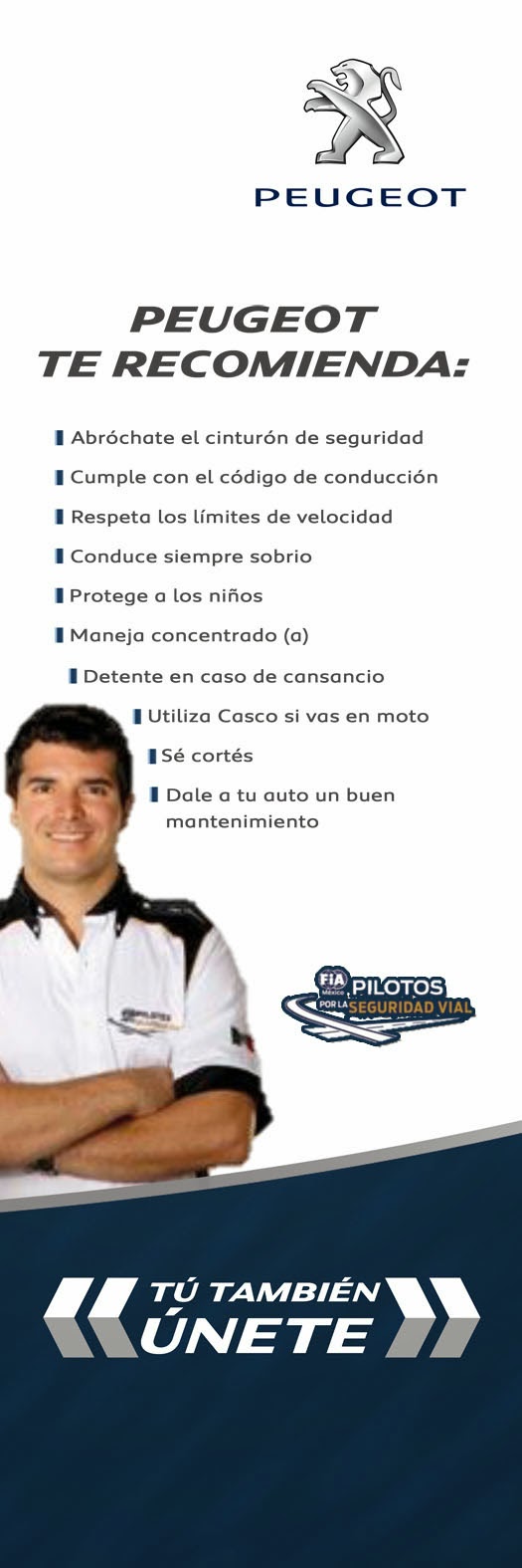 Pilotos por la Seguridad Vial Pilotos por la Seguridad Vial